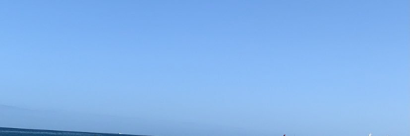 beafloress_'s profile banner image