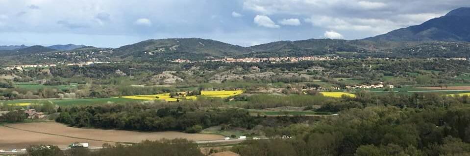 Mercè Cabanas i Solà banner