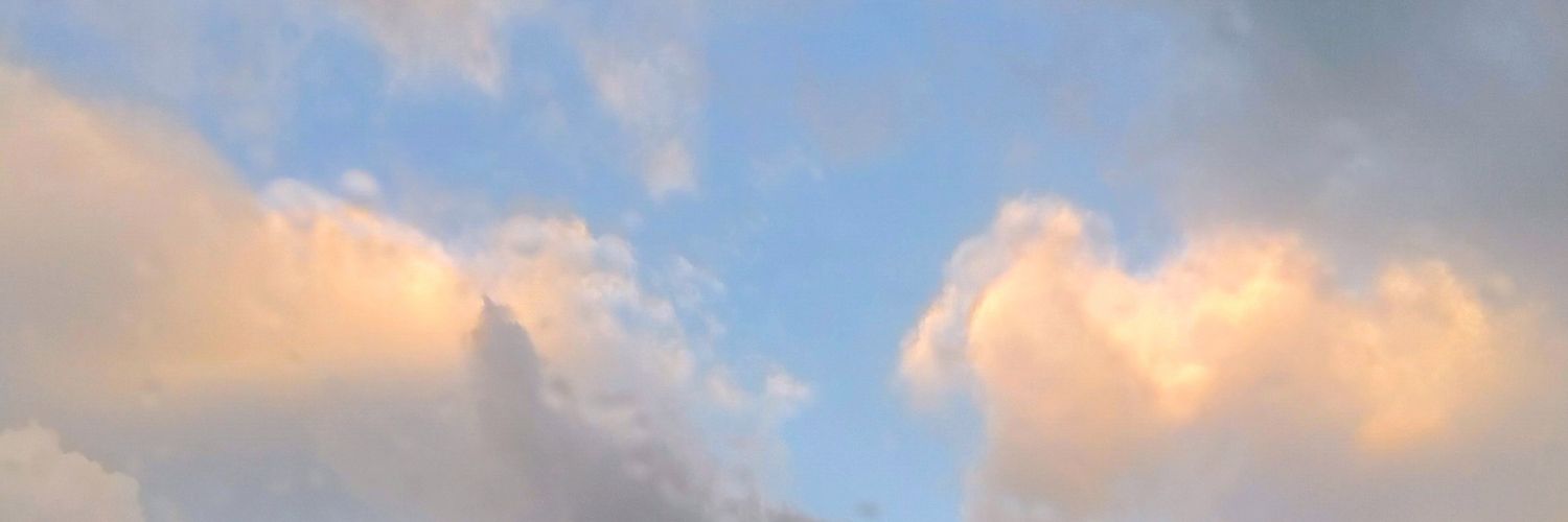 OrfeasSi's profile banner image