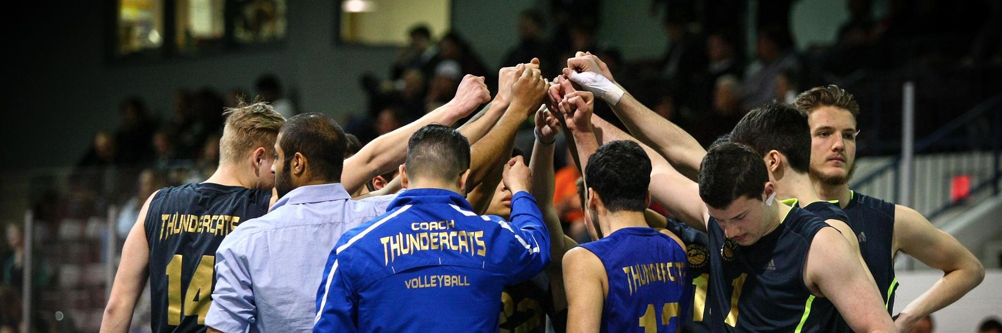ThundercatsVB's profile banner image