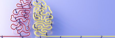 Evelien Heyselaar banner