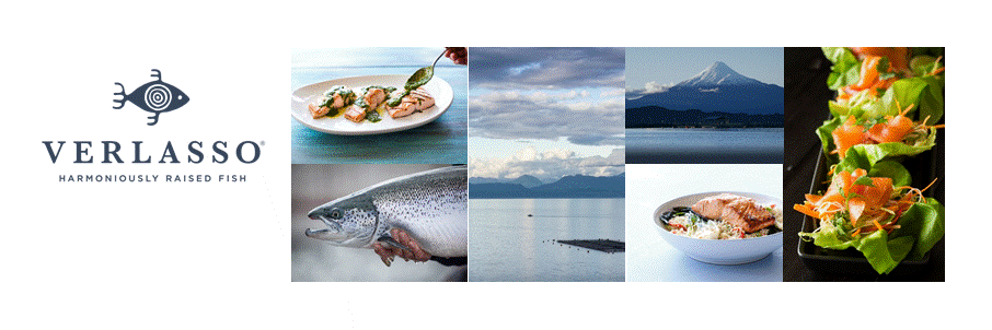 fishinharmony's profile banner image