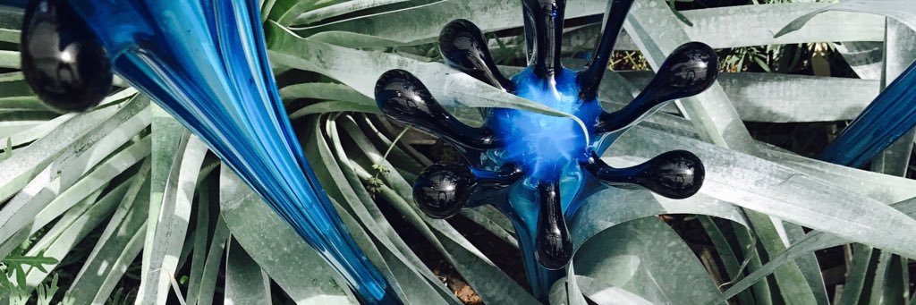 Sarah_Lemanski's profile banner image