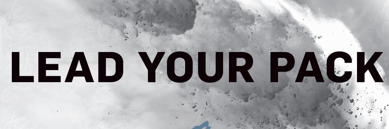 snowwolfplows's profile banner image