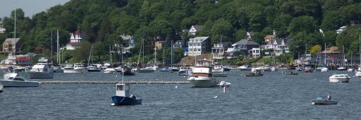 Michael Bento banner