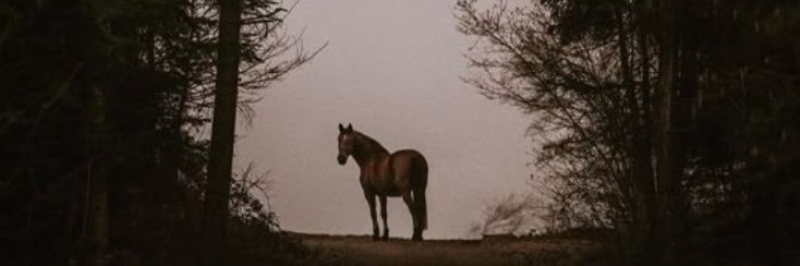 MericRak's profile banner image