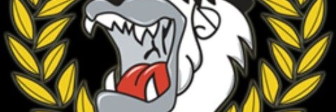 tititesche's profile banner image
