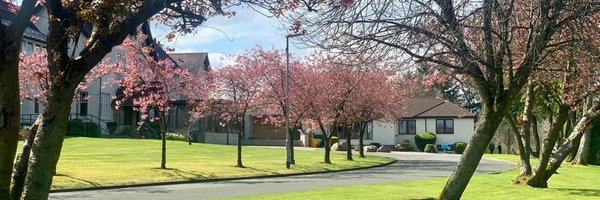 edstrathcarron Profile Banner