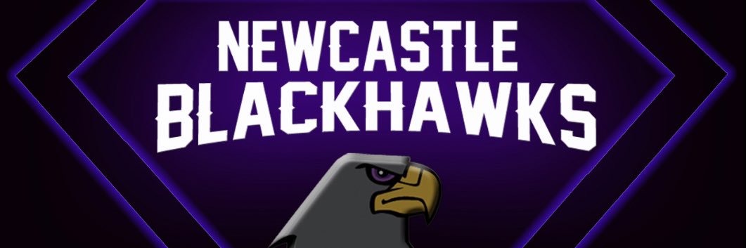 Newcastle Blackhawks banner