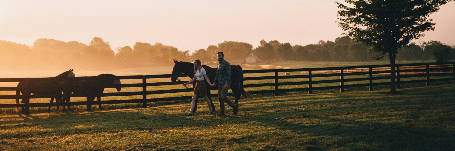DunnoAnymoreDVM's profile banner image