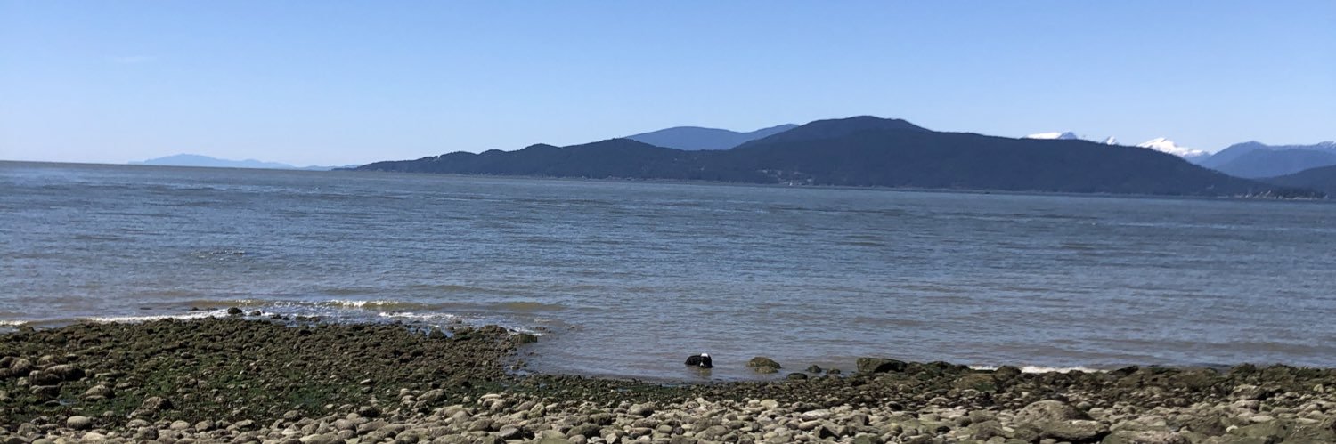 Julianne Piper banner