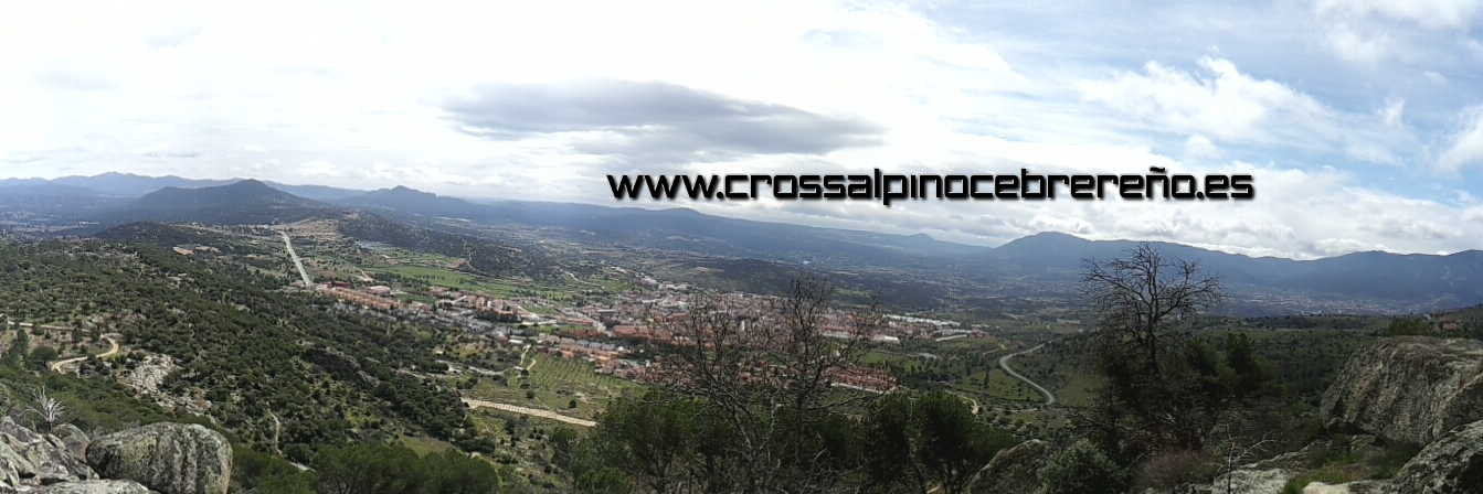 CrossAlpino banner