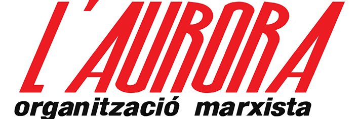 laurora_cat's profile banner image