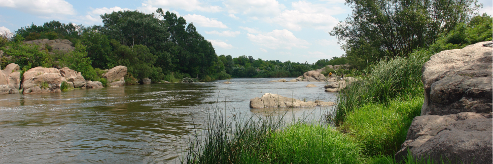 Григорич banner