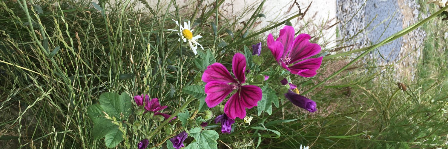 Jackie Parsonage-Harrison banner