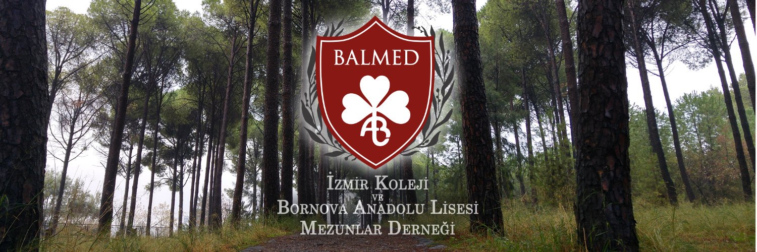 _BALMED_'s profile banner image