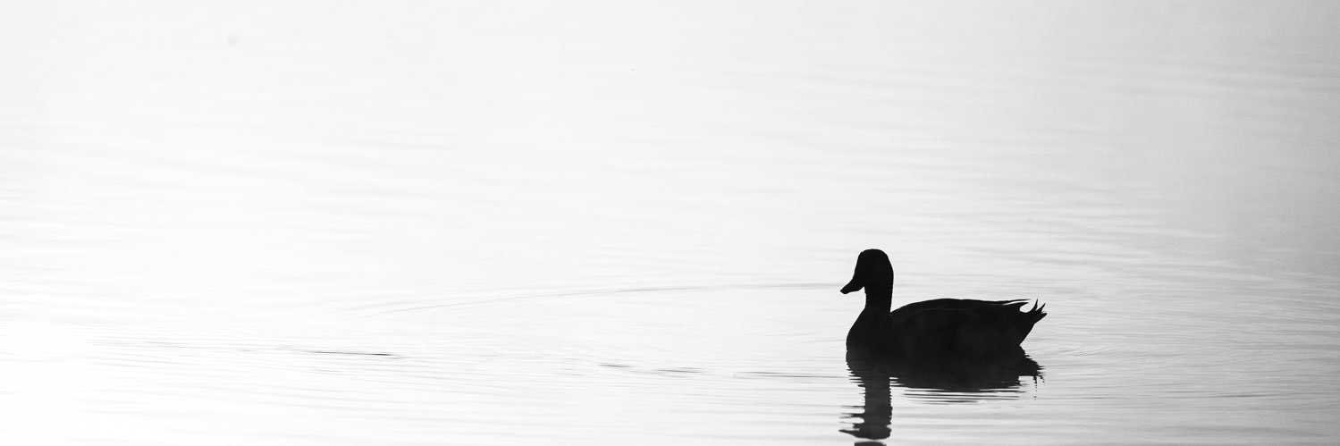 رسيس بنت تركي banner