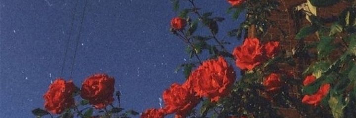 dahaneleeeer's profile banner image