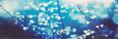 RebelHarmonic's profile banner image