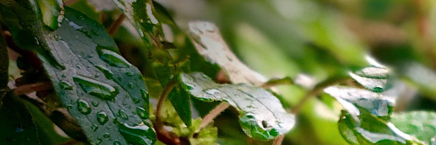 MarcoClb2's profile banner image