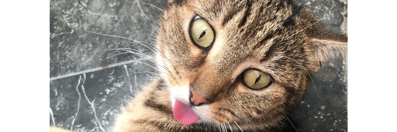 KatieRoseMoore's profile banner image