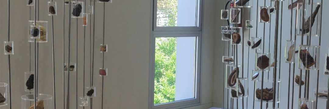 pollito_bjj's profile banner image