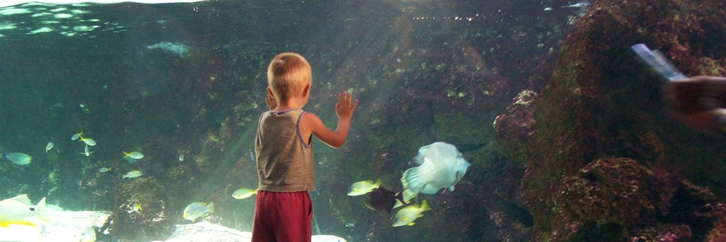 Nitram_m 🔻 banner