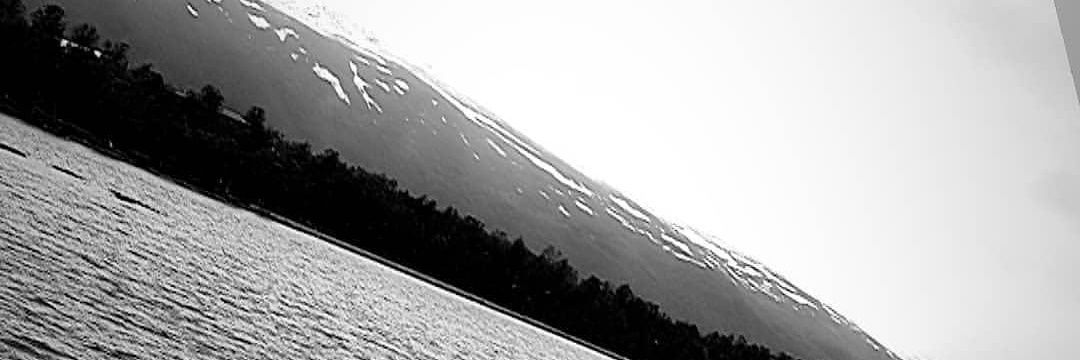 junkagaming's profile banner image