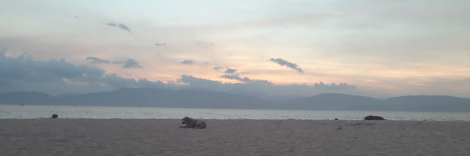 JDisturb1202's profile banner image