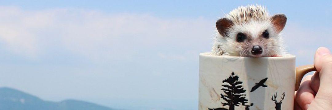 findingpassion_'s profile banner image