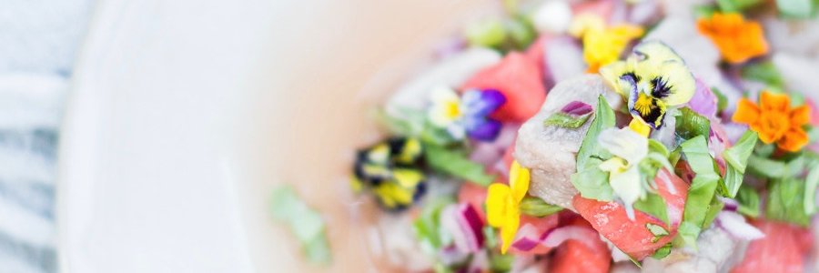 TheLatinaCook's profile banner image