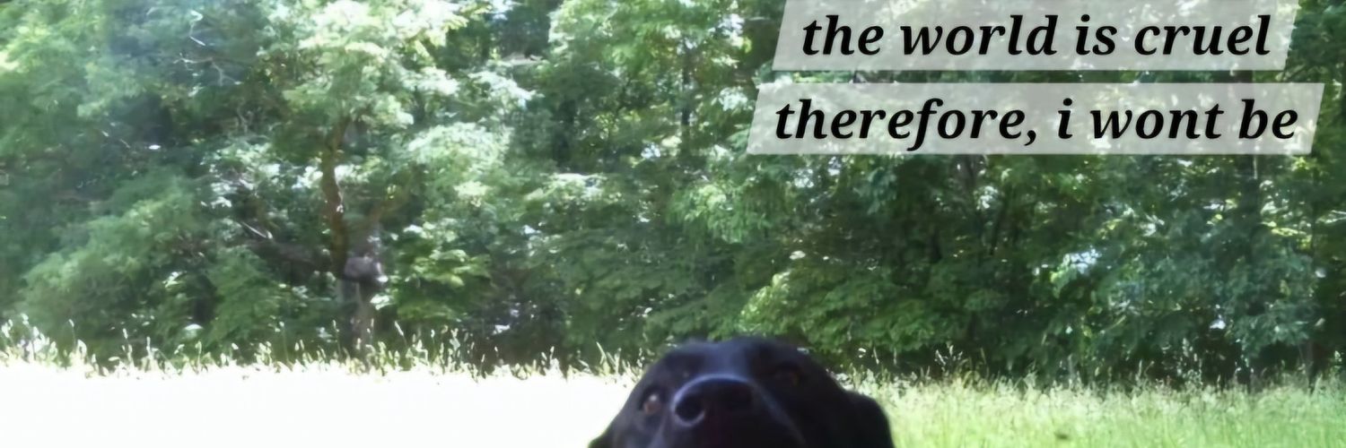 Ryan Tower???? banner