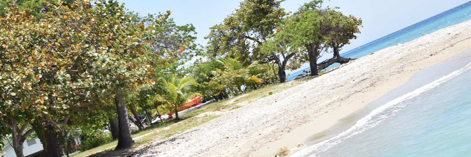 cfayo's profile banner image
