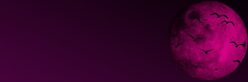 Cakepizzle's profile banner image