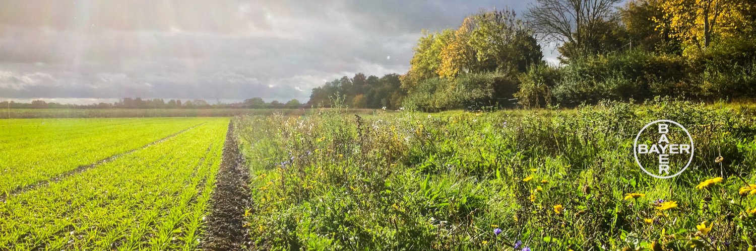 FarmViewUK's profile banner image