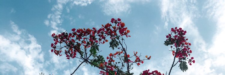 membaloch's profile banner image