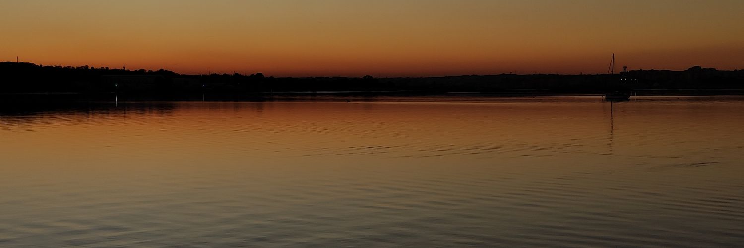pedrolivei01's profile banner image