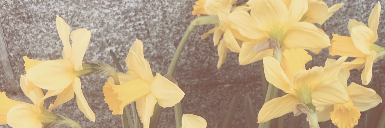 missovarioss's profile banner image