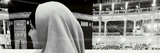shellacilha's profile banner image