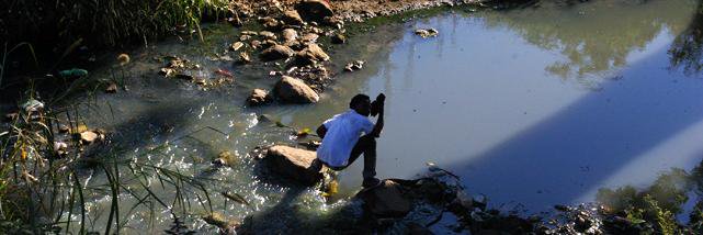 WASHTED, Poly-Malawi banner