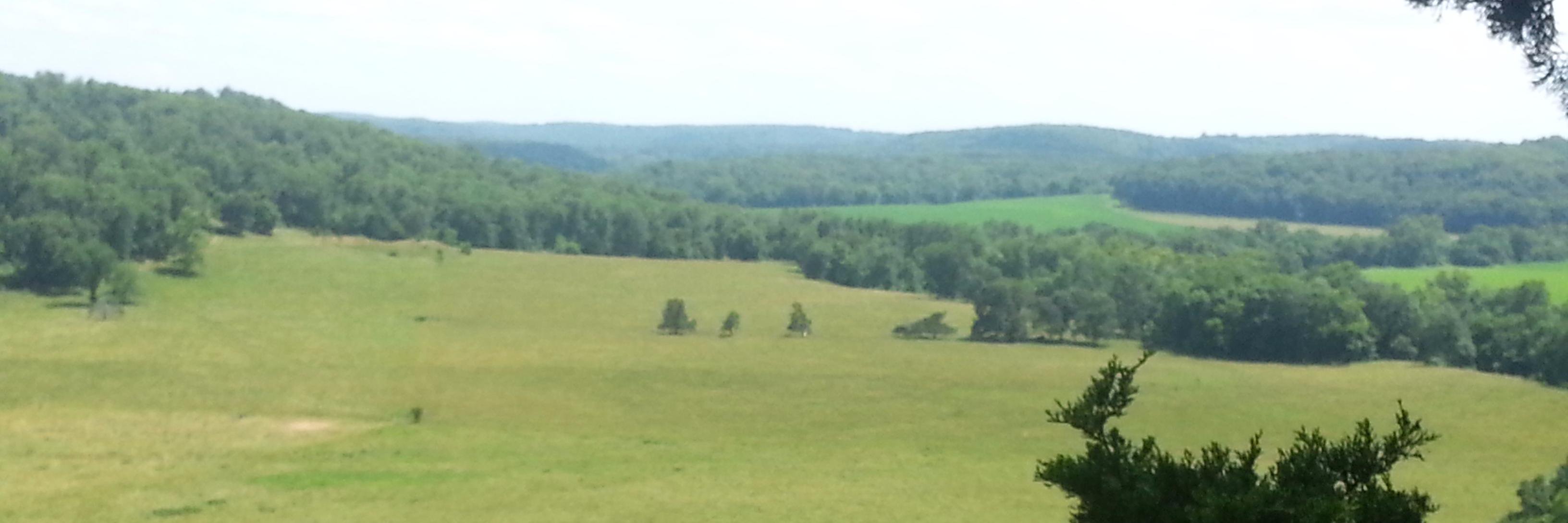 FarmsteadRealty's profile banner image