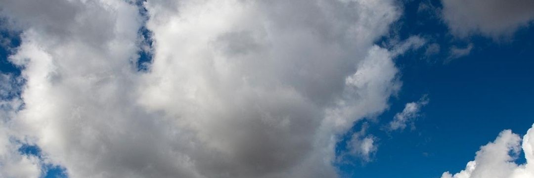 CzarConomist's profile banner image