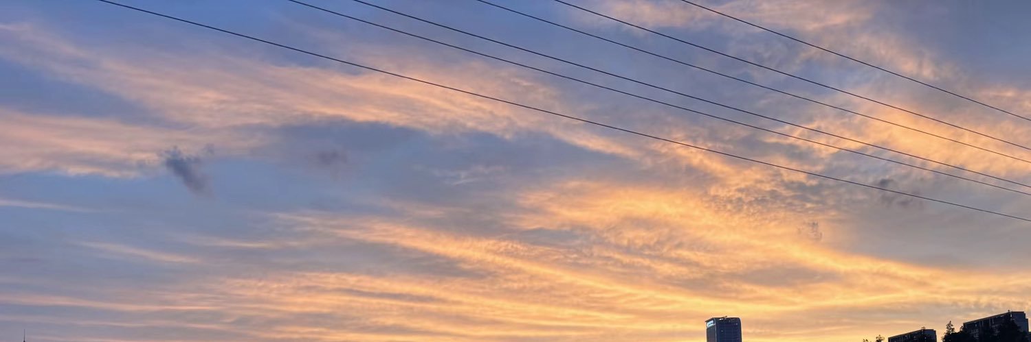 vickinewson's profile banner image