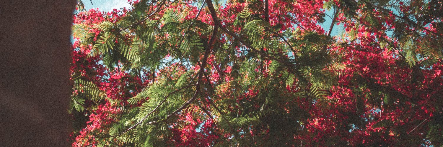mmmarydem's profile banner image