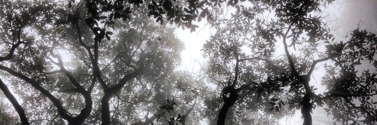 AmeliaDonkor's profile banner image