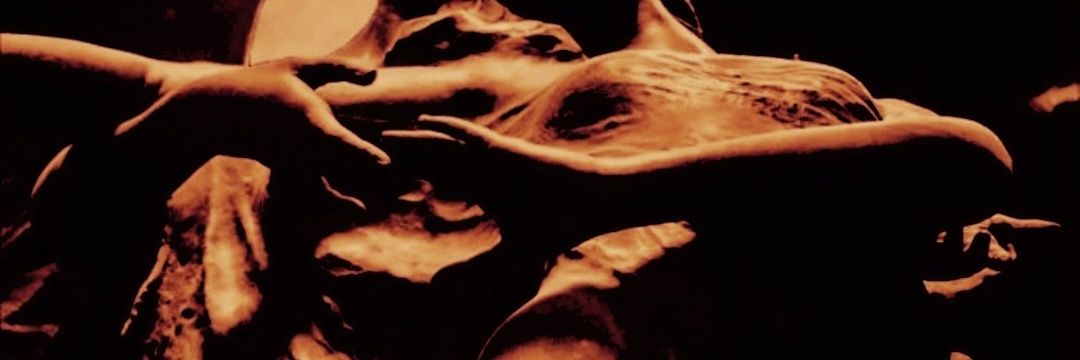 wiguiwtbnaa's profile banner image