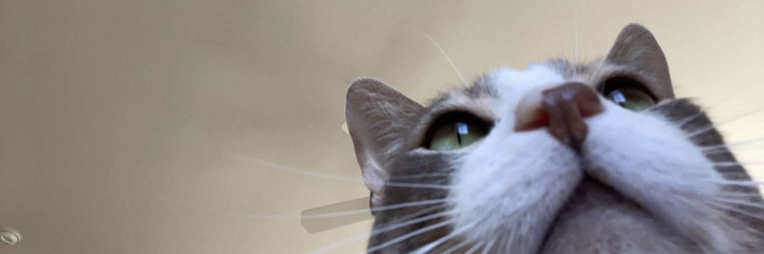 fothhhh's profile banner image