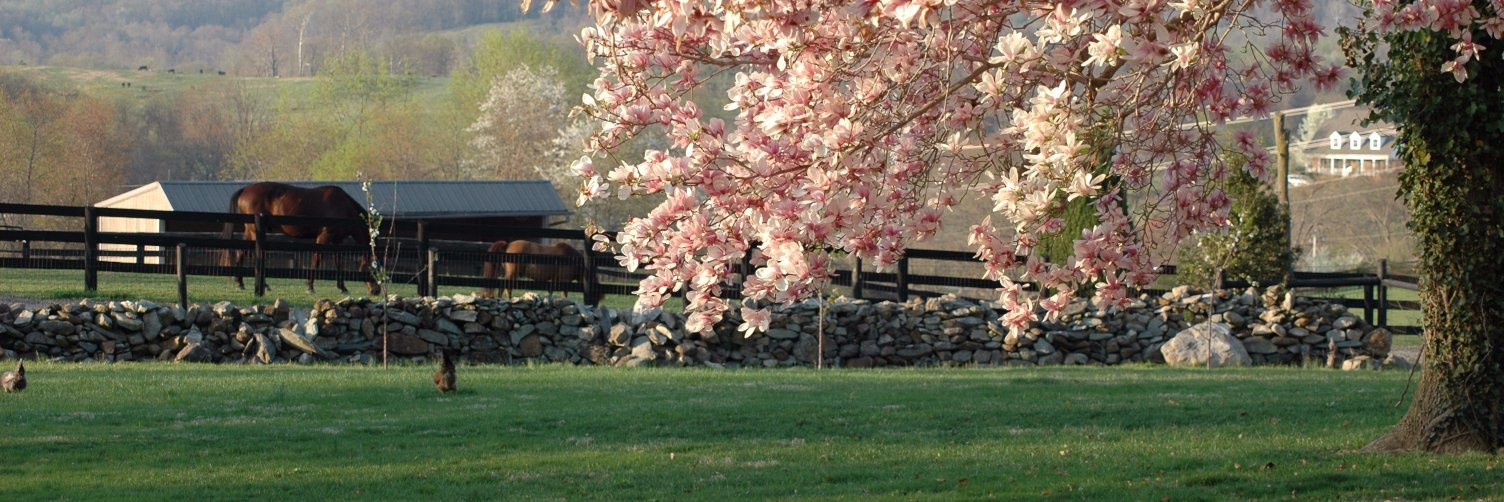GlenGordonManor's profile banner image