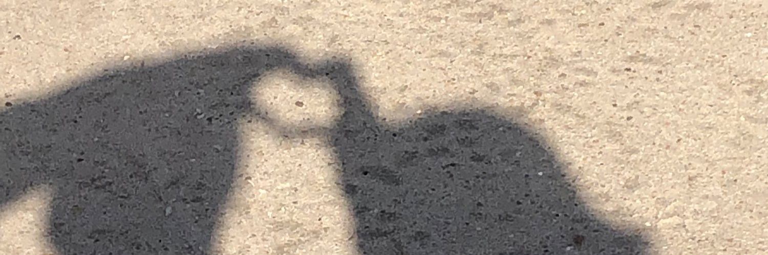 Pablitomm18's profile banner image