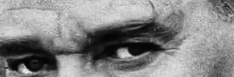 __elifunal's profile banner image